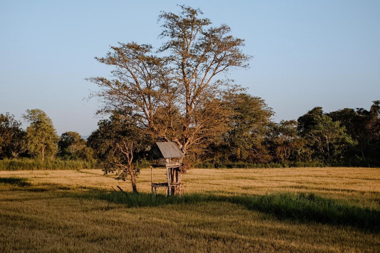 Roy'S Villa Sigiriya Ngoại thất bức ảnh